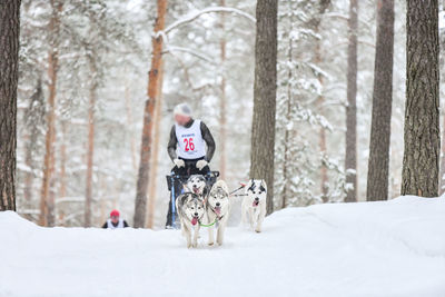 View of dog on snow covered land