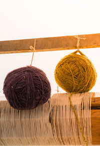 Close-up of clothes hanging on wood against white background