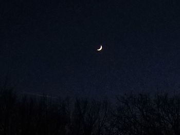 Low angle view of silhouette trees against sky at night