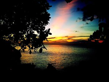 Silhouette tree by sea against sky during sunset
