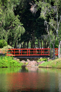 Bridge over river in park