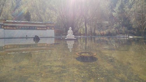 View of swan statue in lake