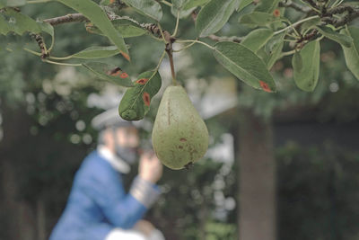 Midsection of man holding plant