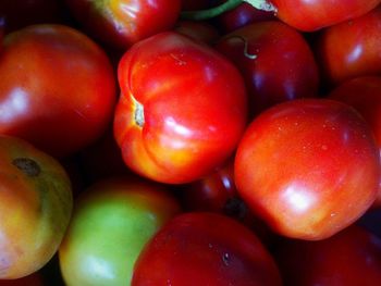 Full frame shot of tomatoes