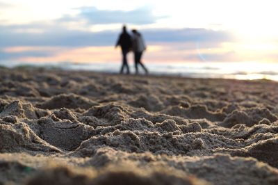 Rear view of couple walking on beach