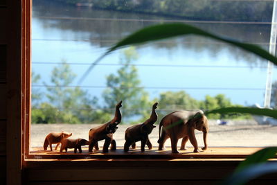 Elephant figurines on window sill against lake