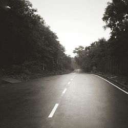 Empty road along trees