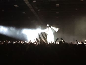 Group of people at concert