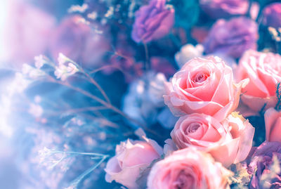 Close-up of rose bouquet