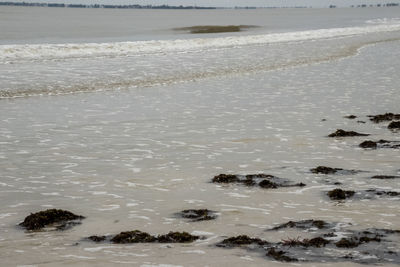 Scenic view of beach