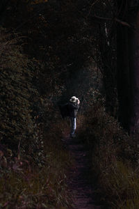 Man standing by tree trunk in forest