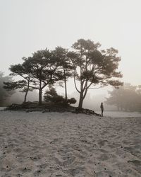 Man walking on snow covered landscape