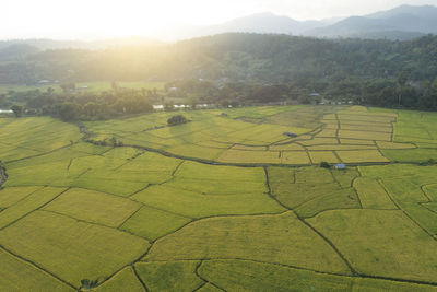 High angle view of green landscape