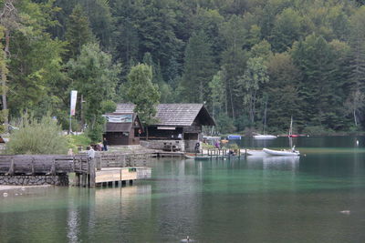 Scenic view of lake against trees in forest