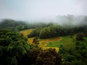 Scenic view of landscape against sky during foggy weather