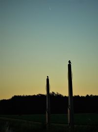 Silhouette wooden post on field against clear sky during sunset