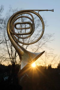 A french horn on the sunset in the forest.