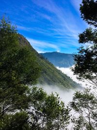 Scenic view of trees and mountains against sky