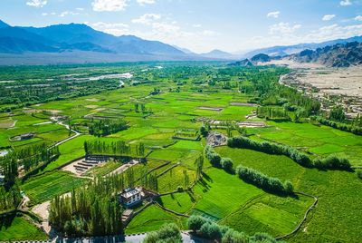 Scenic view of agricultural fields against sky