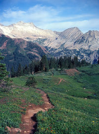 Mountain trail with an impressive view in white river national forest in colorado