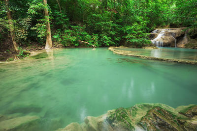 Scenic view of small lake in forest