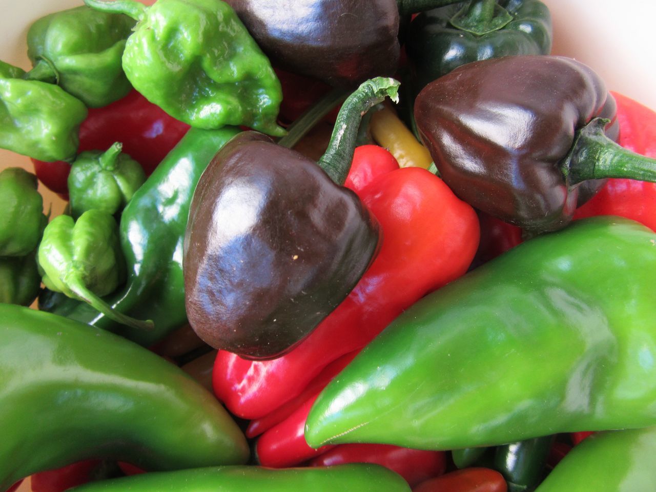 FULL FRAME SHOT OF FRESH VEGETABLES