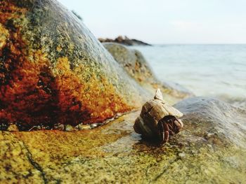 Close-up of rocks in water