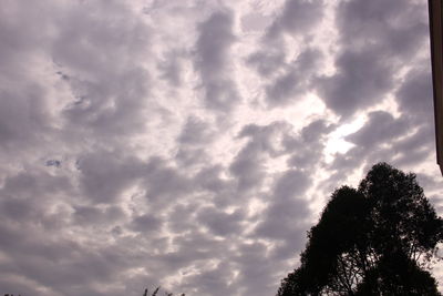 Low angle view of trees against sky