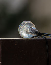 Close-up of raindrops on glass