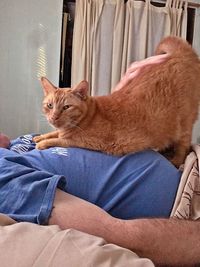 Midsection of man sitting at home