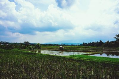 Scenic view of farm against sky