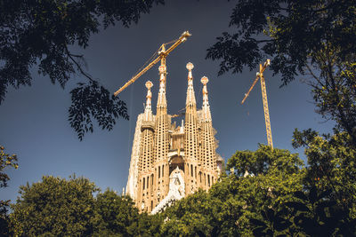 Low angle view of trees and building against sky
