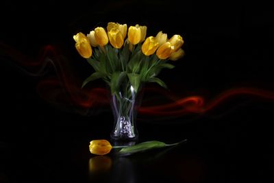 Close-up of flower vase against black background