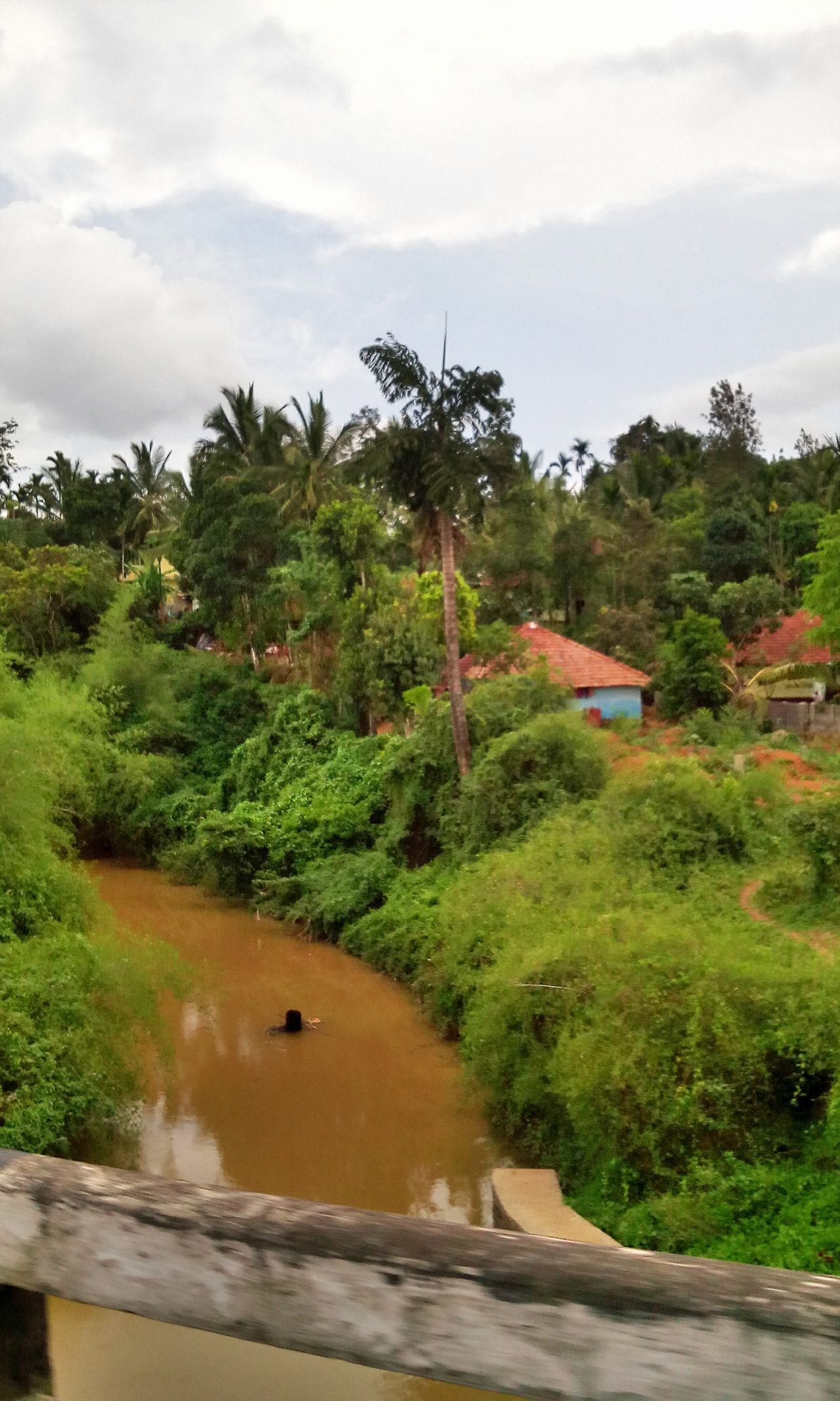 Village beauty