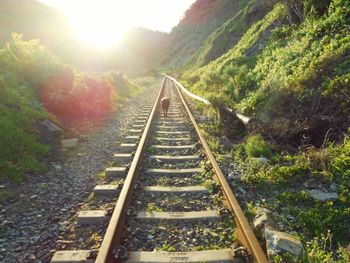 Railroad track passing through tunnel