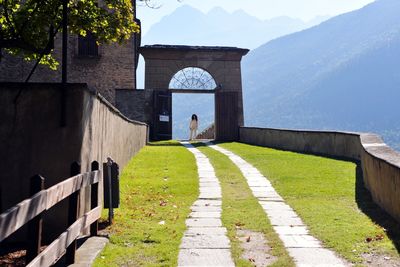 Rear view of woman on footpath amidst plants