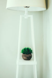 Close-up of potted plant against white wall