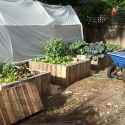 High angle view of potted plants