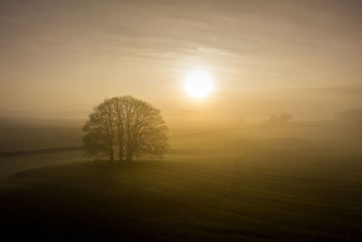 Sunrise over farmland near the yorkshire dales village of eshton