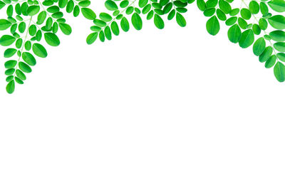 Close-up of white background