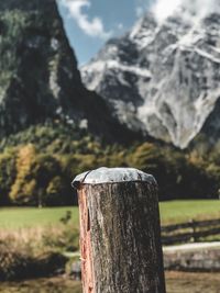 Close-up of wooden post on tree stump