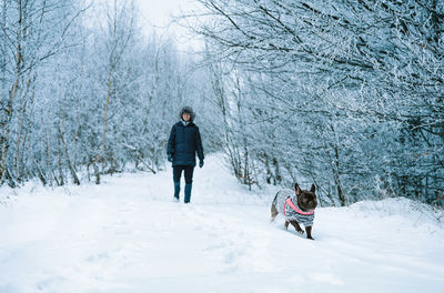 French bulldog dog and pet owner playing in the snow in winter forest