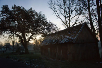 Trees and houses on field against sky