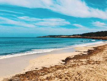 Scenic view of beach against sky