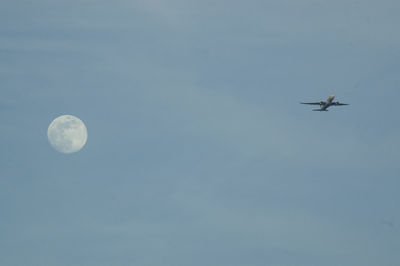 Low angle view of airplane flying in sky