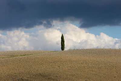 Panoramic view of agricultural field against sky