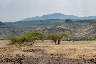 Scenic view of landscape against sky