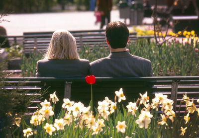 Rear view of man and woman sitting on bench in park during sunny day