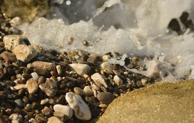 Rocks on shore