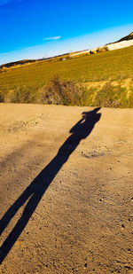 Shadow of hand on landscape against clear sky